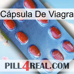 Cápsula De Viagra 06